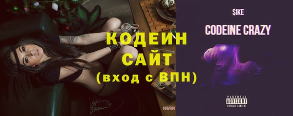 сатива Верея