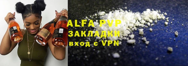 сатива Верея