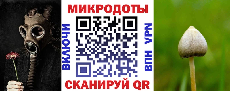 Псилоцибиновые грибы Psilocybine cubensis  KRAKEN   Инта  как найти  