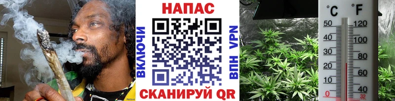 где купить наркотик Инта Бошки Шишки планчик